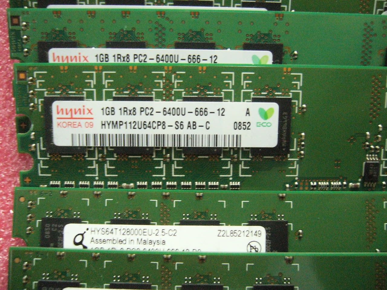 QTY 1x 1GB DDR2 PC2-6400U 1Rx8 800Mhz non-ECC desktop memory Hynix Qimonda - zum Schließen ins Bild klicken
